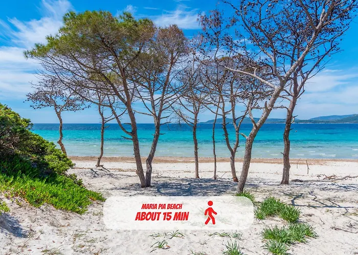 Apartamento Fronte Mare - Box Auto - Elvissa View Alghero