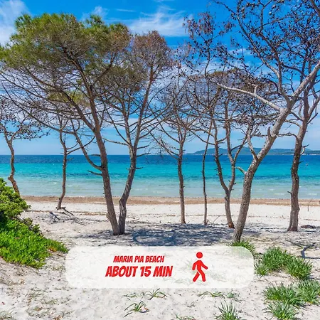 Apartman Fronte Mare - Parcheggio Privato - Elvissa View Alghero